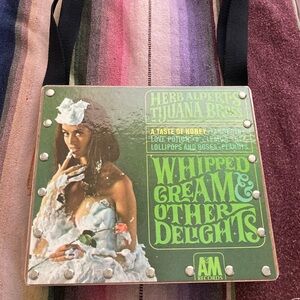 Whipped Cream and Other Delights broken record handbag🍨🌹